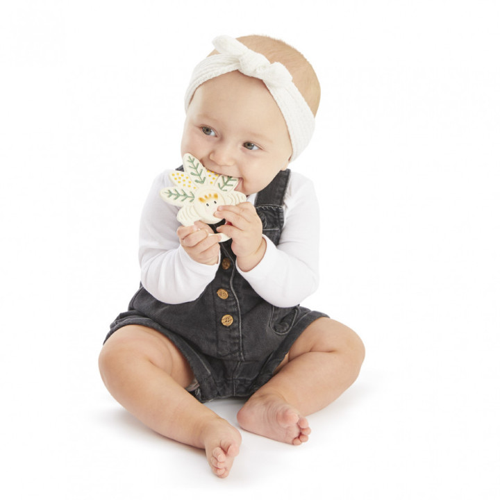 Inel Dentitie Multitexturat Frunza - TASTE